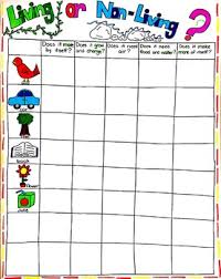 Living Or Non Living Anchor Chart Freebie