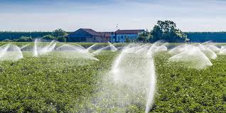 Irrigation 101 - Modern Farmer