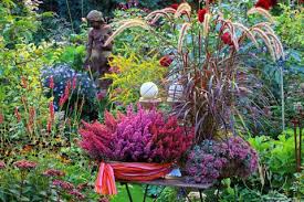 Wenn die blumentöpfe oder balkonkästen im spätherbst langsam aber sicher verwaisen, kommt die zeit für die winterblüher, die auf balkon und terrasse für allerlei blickfänge sorgen.allen voran die christrose, die mit zart weißen bis rosa blüten im dezember ihre blüten öffnet und einen oft bis februar verzaubert. Herbst Pflanzen Und Deko Fur Balkon Und Terrasse Mein Schoner Garten