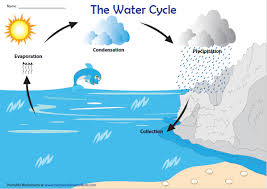 Water Cycle Chart Four Step Process Water Cycle Water Cycle Chart Water Cycle Worksheet
