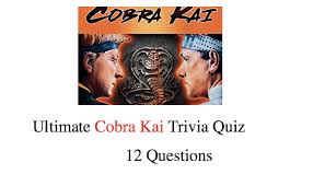But people went crazy and an ambulance . Ultimate Cobra Kai Trivia Quiz Nsf Music Magazine