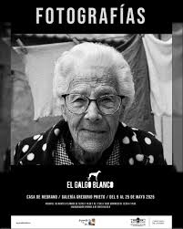📸 Exposición "El Galgo Blanco" 🖼️ Hasta el 25 de mayo en la Galería  Gregorio Prieto (Casa de Medrano) 🕒 Horario de visita: ▪️ Martes a sábado:  10:00–14:00 y 17:00–19:00 ▪️ Domingos: