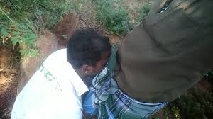 @Mani46186218s video Tweet