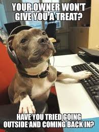 Puppers Customer Service Funny Animals Funny Animal Pictures Funny Dogs