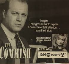 The Commish" Head Case (TV Episode 1994)