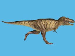 You can play some great games on your smartphone, but most of the best true video games don't come in that format. Dino Puzzles Free Games Activities Puzzles Online For Kids Preschool Kindergarten By Maria Choudry