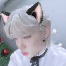 Han jisung is wildin jshshshgjsksnsjwbhd who allowed this desc. Felix Catboy Icon Drain Skz Catboy Felix Catboy Stray Kids Pfp