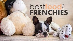 Learn what makes a good frenchie food & the pros / cons of dry, wet, and raw diets. Best Food For French Bulldogs Help Your Frenchie Reach His Puppy Potential Herepup