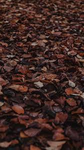 #aesthetic #pinterest #brown aesthetic #indianfashion #indian aesthetic #brown girls #brown skin #we hunt the flame #the wrath and the dawn #ember in the ashes #book aesthetic #bookish …. Brown Background Wallpapers And Hd Backgrounds Free Download On Picgaga
