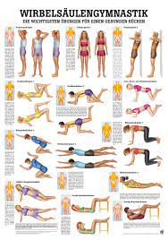Anleitungen für rückenübungen für zu hause. Yogishop Wirbelsaulengymnastik Yoga Yogamatten Yoga Zubehor Gymnastik Yoga Zubehor Ruckenschule