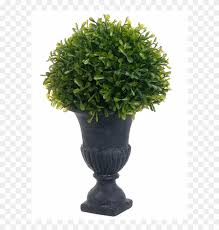 Maybe you would like to learn more about one of these? Topiary Png Flowerpot Transparent Png 800x800 75647 Pngfind