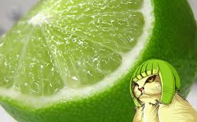 Tema galaxy yang bergerak, alam bawah laut, air terjun, dan banyak lagi. Kucing Lemon Lucu Background Gratis Lime Zoom 2560x1600 Download Hd Wallpaper Wallpapertip