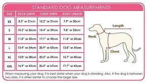 Standard Dog Measurements Crochet Dog Sweater Crochet