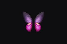 Download moon butterflies for your chromebook or similarly sized notebook computer. 2560x1700 Samsung Galaxy Fold Butterfly Chromebook Pixel Hd 4k Wallpapers Images Backgrounds Photos And Pictures