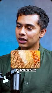 Why is Farming in Punjab