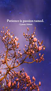 Patience Is Passion Tamed Lyman Abbott Title Magnolia Flowers By Night New Plymouth Nz Free Cellphone Lockscree Brewster Good Day Song Magnolia Flower