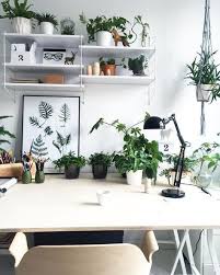 Pin De Kayli Warden Em Adopt A Plant Decoracao Ideias De Decoracao Decoracao Home Office