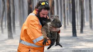 It consists of the island of australia, the island state of tasmania, as well as over 8,000 smaller islands. Wildfires Climate Change And Deforestation Increase The Global Risk Environment All Topics From Climate Change To Conservation Dw 08 01 2020