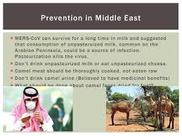 The consumption of camel urine, as well as camel meat and camel meat, is not uncommon across the middle east. Camels Bats Mers Oh My The Economist May 14 2014 Www Economist Ppt Download