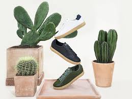 The skin of the fruit is covered in tiny needles (called glochids). Shoe Brand Clae Creates The First Cactus Leather Vegan Sneakers