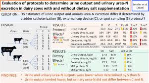 Image result for Urine Output