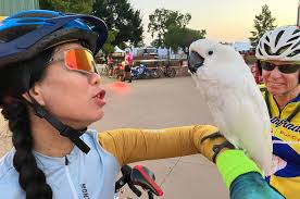 Remembering those who have made the ultimate sacrifice so that we can have  freedom...