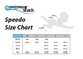 speedo swimwear size chart swimwear shack online swimwear