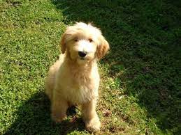 Pin On Cute