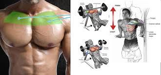 Grab superhuman protein for 10% off and speed up your muscle building! Upper Chest Workout At Home All Products Are Discounted Cheaper Than Retail Price Free Delivery Returns Off 60