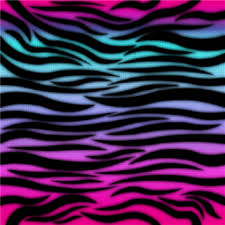 Pink And Black Zebra Print Wallpaper Colorful Animal Print Animal Print Background Zebra Print Background