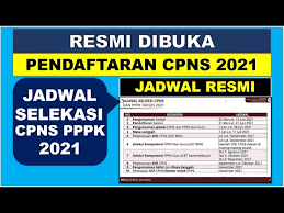 Jadwal cpns 2021 di atas disampaikan dalam rapat virtual persiapan pengadaan casn tahun 2021 di pemerintah daerah yang tertuang dalam jadwal cpns 2021 pdf. Jadwal Pendaftaran Cpns Pppk 2021 Dibuka 31 Mei 2021 Youtube