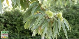 Epingle Sur Le Jardin Se Partage