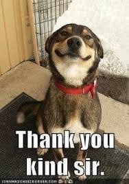 Image Result For Thank You Kind Sir Missing You Memes I Miss You Meme Funny Saturday Memes