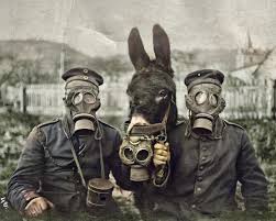 Feel free to explore, study and enjoy paintings with paintingvalley.com. Two German Soldiers And Their Mule Wearing Gas Masks In World War One C 1916 2160x1730 Militaryporn