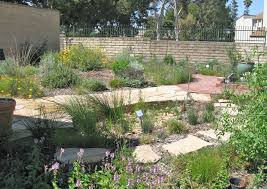 Mother Nature S Backyard A Water Wise Garden Harvesting Rain Rain Gardens And Vegetated Swales Rain Garden California Native Plants Native Garden