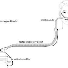 Nasal cannula oxygenation alveolar oxygen delivery depends on supplemental oxygen ﬂow rate, the fraction of inspired oxygen (fio 2) delivered in supplemental ﬂow, the device's interface with the patient, and inspiratory demand (1, 2). Principle Setup Of High Flow Nasal Cannula Oxygen Therapy An Download Scientific Diagram