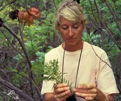 Image result for Erythrophysa