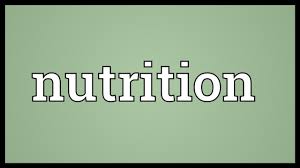 nutrition meaning you