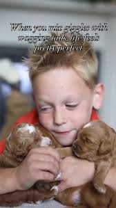 Frosted Golden Doodles added a...