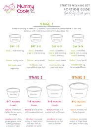 How To Start Weaning Guide For The 1st Year Mummy Cooks