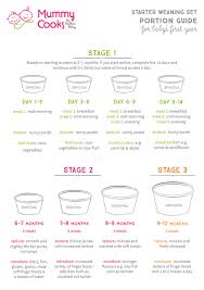 how to start weaning guide for the 1st year mummy cooks