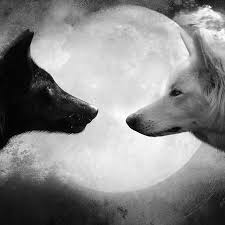 Black And White Wolf Tattoo Ideas Black And White Wolf White Wolf Animals Dog Tattoo