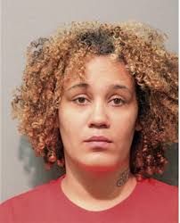 ᐅ Illinois Criminal Records 2009-2025