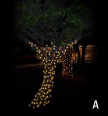 Christmas Decor Of Ottawa Lighting Sample For A Trunk And Main Branch Wrap