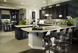 31 Custom Luxury Kitchen Designs Some 100k Plus Kitchen Design Gallery Luxury Kitchens Luxury Kitchen