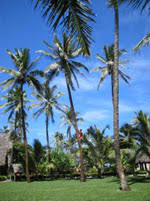 Urlaub was born on monday, february 19, 1923 and passed away on tuesday, march 17, 2020. Samoa Inseln Reisen Sudsee Ozeanien Reisen Sudseereisen Reisen Samoa Inseln