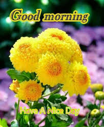 Pin By Sivaprasadchandu Sivaprasadcha On Good Morning Good Morning Flowers Good Morning Greetings Good Morning Picture