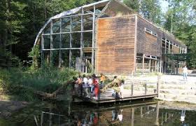 Haus Des Waldes Stuttgart Naturnahes Ausflugsziel Fur Die Ganze Familie Natur Stuttgart Marketing Gmbh Ausflugsziele Ausflug Stuttgart