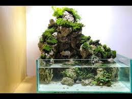 Paludarium Dengan Air Terjun Berkabut Youtube Akuarium Kreatif Air