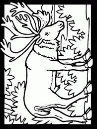 Pypus is now on the social networks, follow him and get latest free coloring pages and much more. Pin On Embroidery